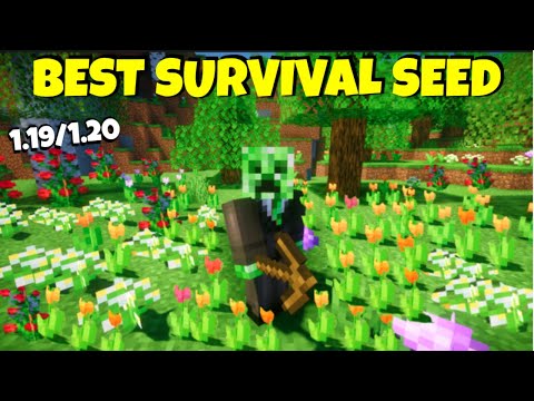 TheAetherGamer - 🔥[GOD SEED] An ACTUALLY GOOD Minecraft Survival Seed for Bedrock/Java 1.20)