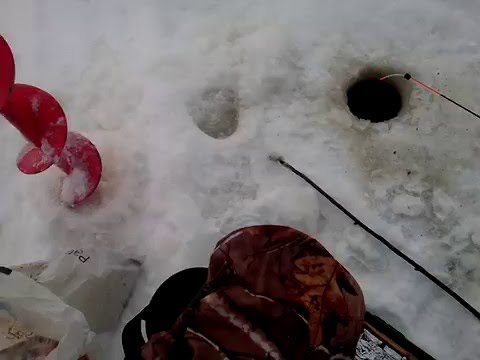 Электронная удочка Удача 2...результат..