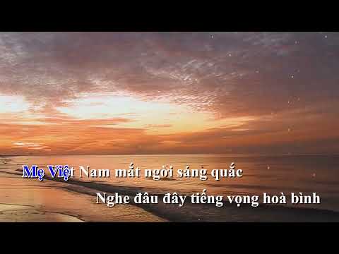 Hoa Cài Mái Tóc Karaoke Lofi Ver | NB3 Hoài Bảo x Nguyeen