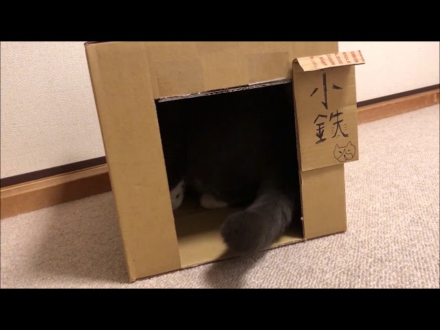 斬新な家に「建もの探訪」の渡辺さんがおいで下さった…場合の予行練習