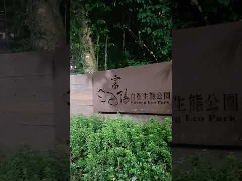 近台大台科大NearNTU.NTUST.NTNU 獨立套房 大安區-臥龍街272巷 591租屋 月租11,000元/月