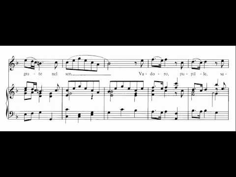 V'adoro Pupille (Giulio Cesare In Egitto - Händel) Score Animation