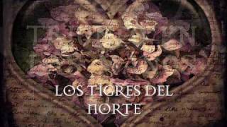 TRIUNFO EN LAS MANOS - LOS TIGRES DEL NORTE