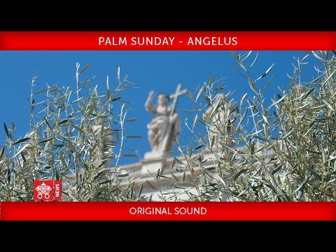 Pope Francis - Celebration of Palm Sunday - Angelus prayer 2018-03-25