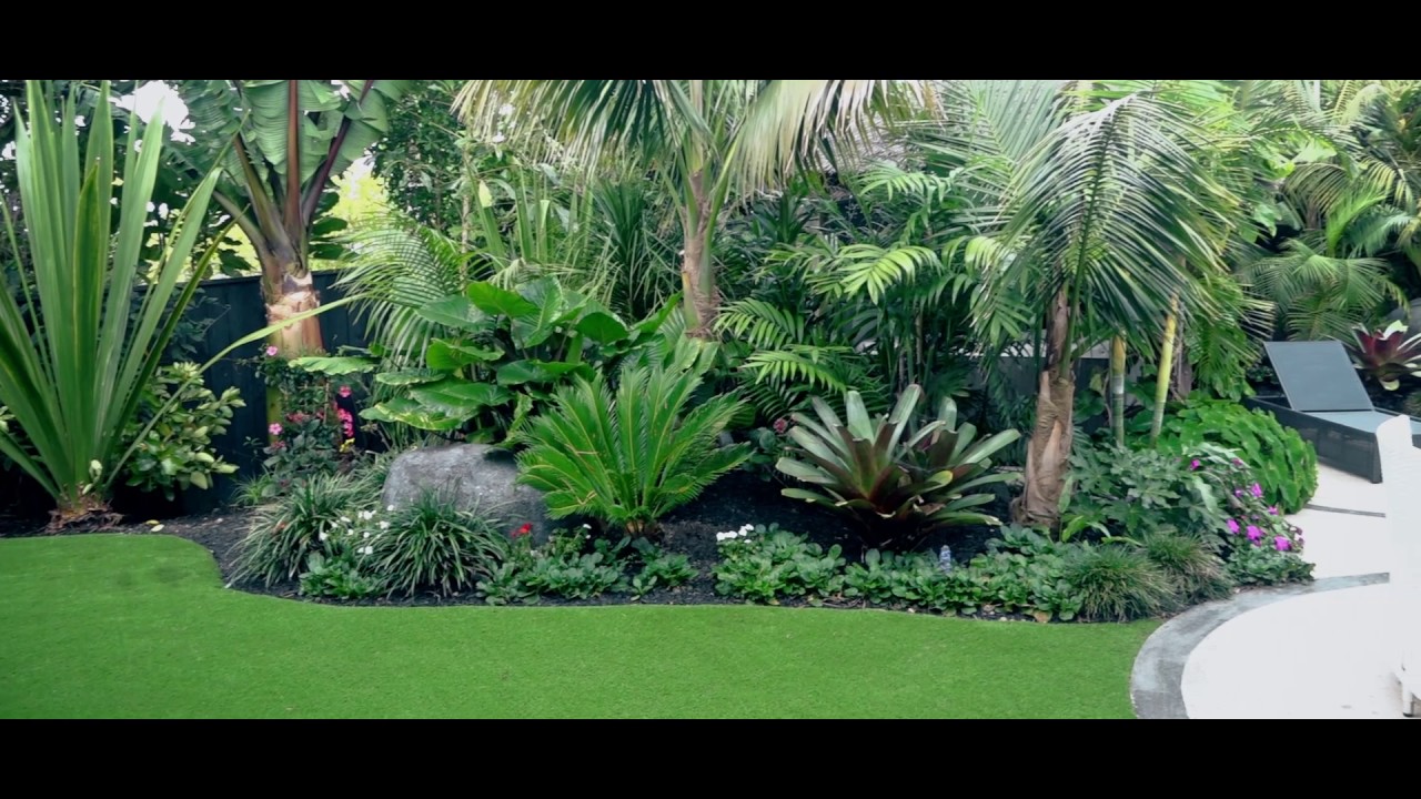 Tropical Delight