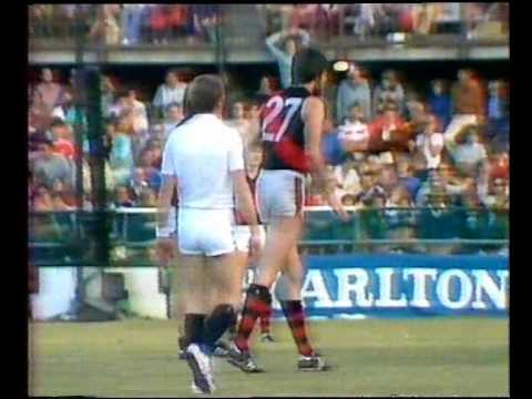 VFL R14 1981 - Hawthorn v Essendon