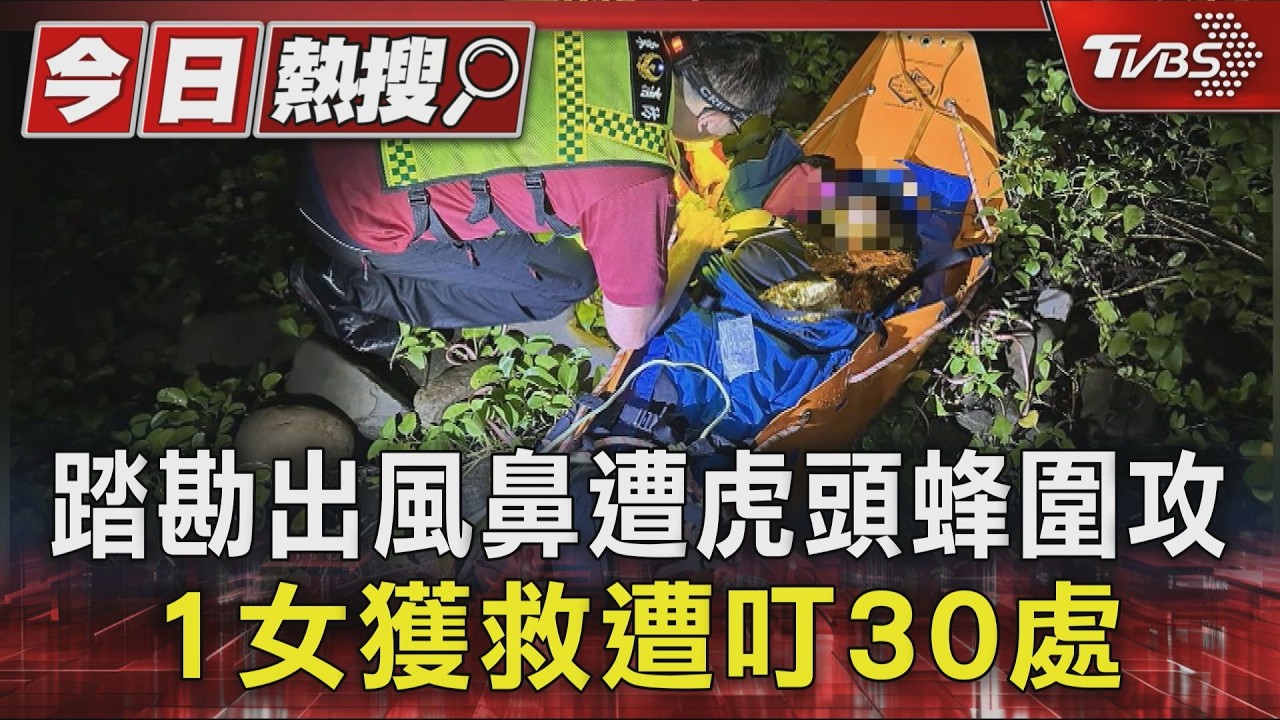 踏勘出風鼻遭虎頭蜂圍攻 1女獲救遭叮30處｜TVBS新聞 @TVBSNEWS01