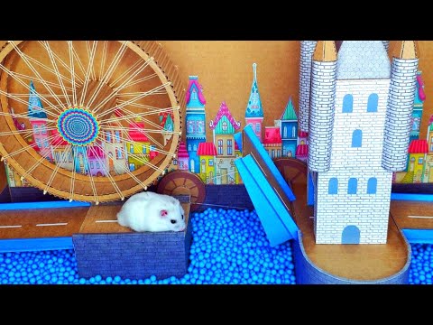 🐹Hamster Maze - Amusement Park for Hamster🐹