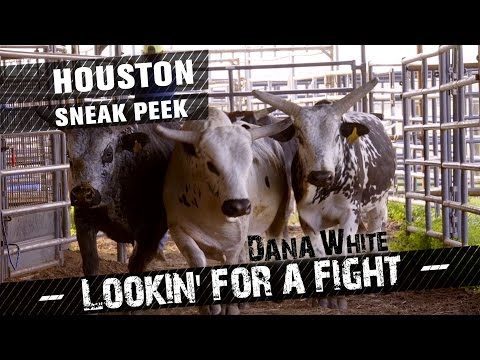 Dana White: Lookin' for a Fight - Episode 5 Sneak Peek