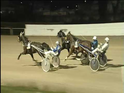 Trotto 19/03/2019 - 7ª corsa