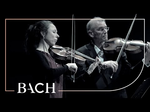 Bach - 'Brandenburg' Concerto no. 5 in D major BWV 1050a - Sato | Netherlands Bach Society