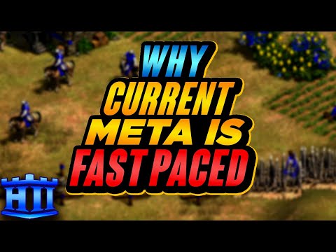 Why The Current META Is So Fast Paced | AoE2