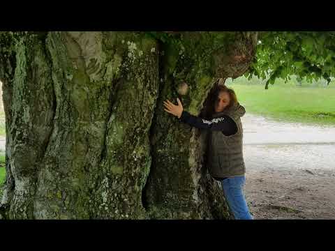 TÂRSA PLATOUL LUNCANILOR(oamenii păstreză o legătură vie cu traiul dacilor)