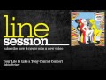 Rubin Steiner - Your Life Is Like a Tony Conrad Concert - LineSession