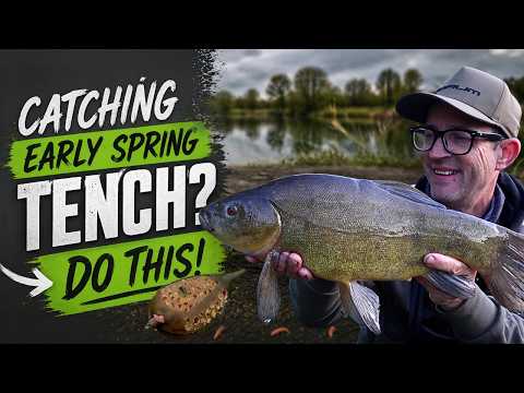 Tench Fishing With Grub Feeders