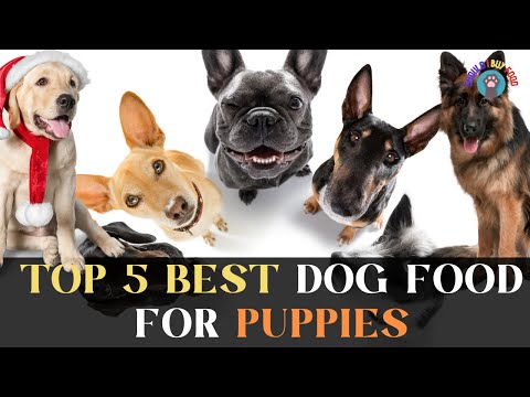 The Best Puppy Food: A Complete Guide