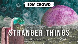 Bougenvilla - Stranger Things (ID)