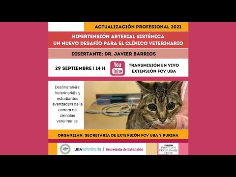 Actualización Profesional 2021 - Hipertensión Arterial Sistémica