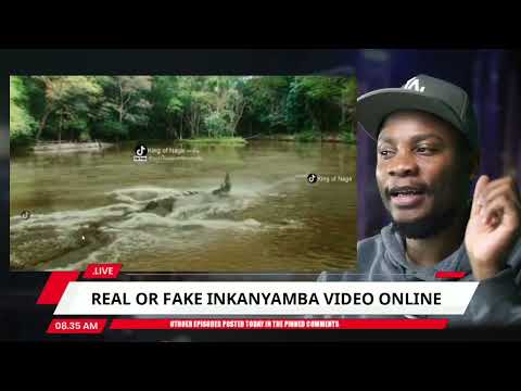 BREAKDOWN: Viral Inkanyamba Ritual Snake Video (Ep61/100)