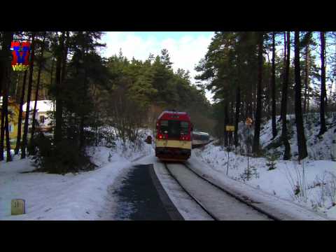 R1194 v Mladoticích zast.