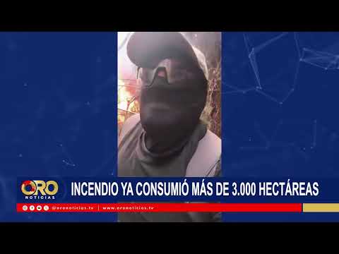 Incendio forestal en Ábrego ya afectó más de 3.000 hectáreas | Oro Noticias