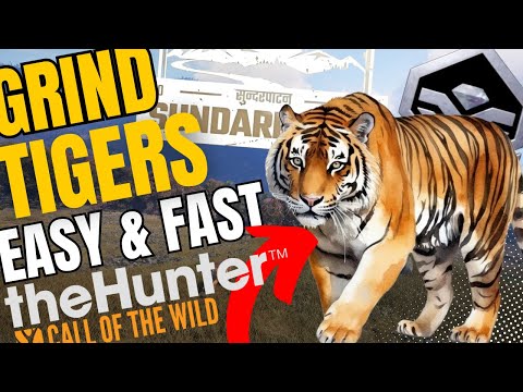 How to SPAWN a SUPER RARE Bengal Tiger SUPER EASY!! (UPDATED!!) - Call of the Wild