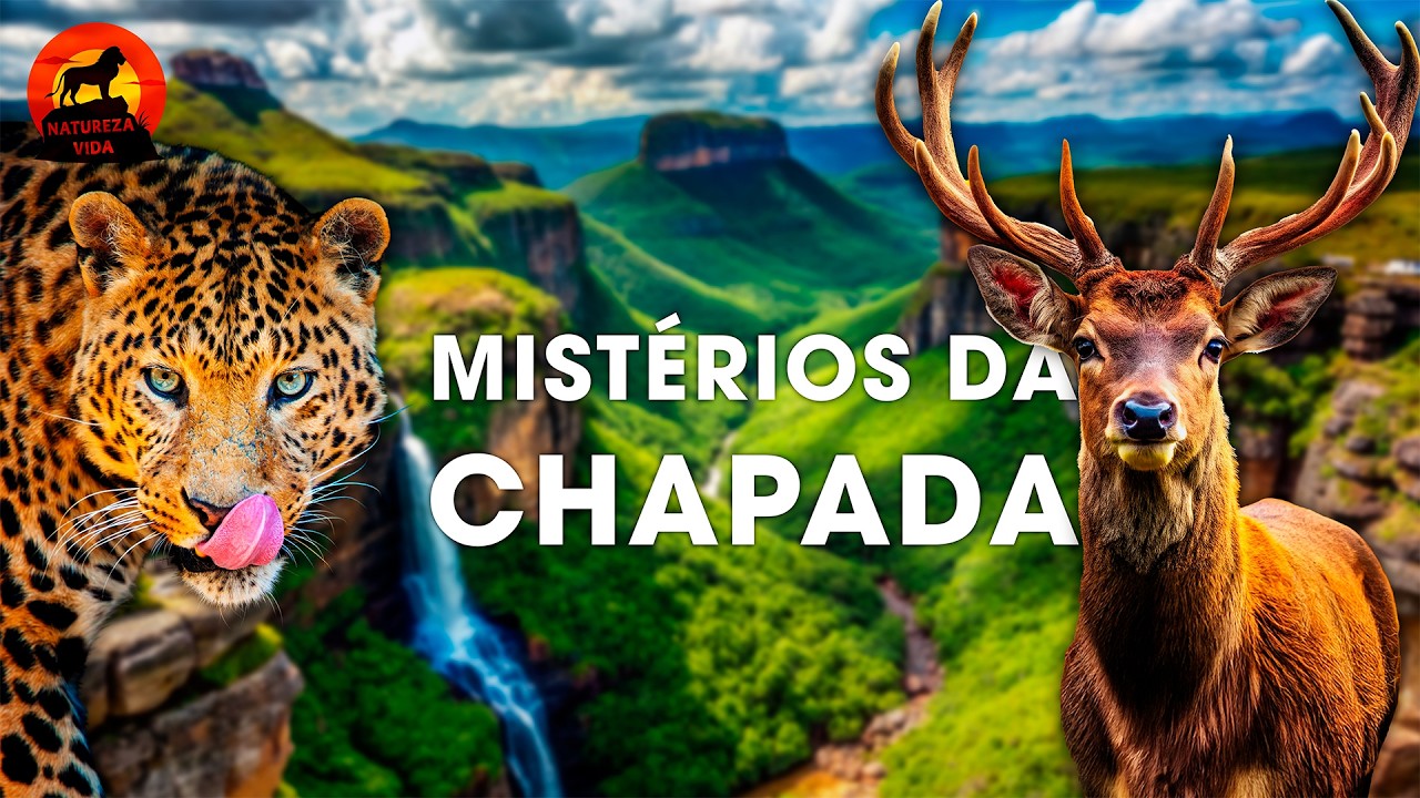MISTÉRIOS DA CHAPADA | A Jornada Mágica das Espécies | Documentários animais