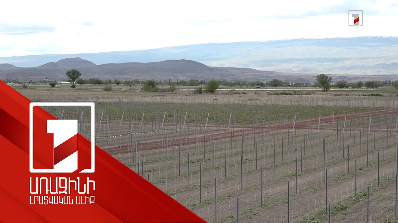 Արմավիրում աճել են գյուղատնտեսության, շինարարության, ծառայությունների ու մանրածախ առևտրի ծավալները