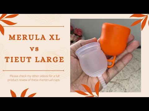 MERULA XL vs TIEUT : Squish Comparison