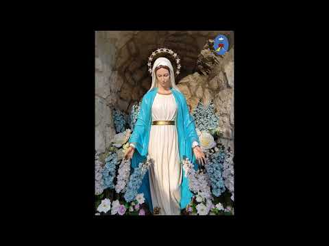 Czatachowa 29.01.2023 - Koronka do Krwawych Łez Maryi