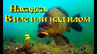 Ссылка