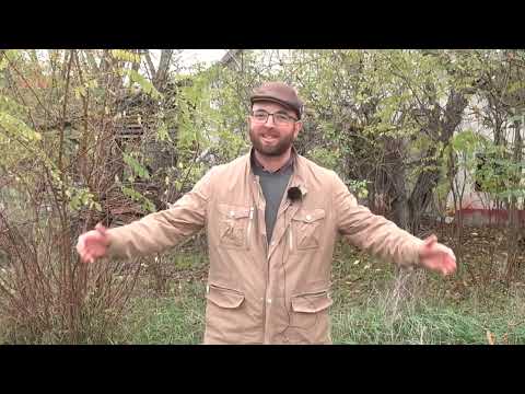 FELHÍVÁS - Mentsünk meg egy Alföldi Tanyát!