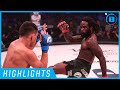 Highlights | Daniel Straus - #Bellator226