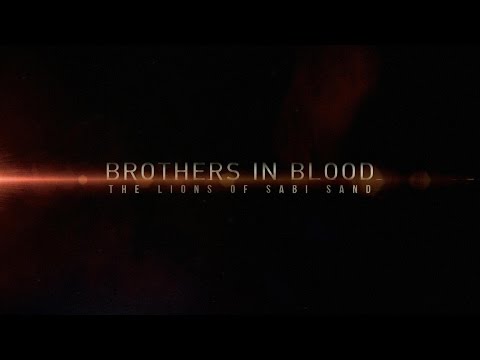 Brothers in Blood : Lions of Sabi Sand | Teaser Trailer