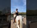 Pro Bareback Rider Here Horse Horses Horseriding Horsegirl Horsefan Pony Equestrian