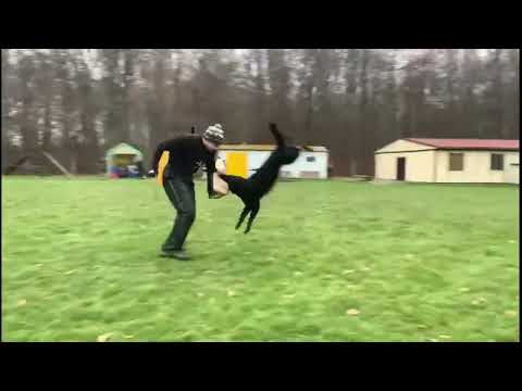 Qwin z údolí Úpy 2,5 roku