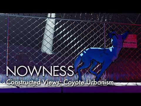 A lonely coyote walks LA in an animation on commodified architecture and the cost of progress