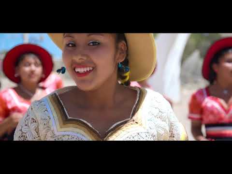 LOS DELFINES DEL AMOR - SALAY AMOR A PRIMERA VISTA 2019