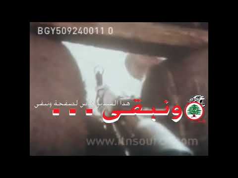 بواريد تلمع بالعالي