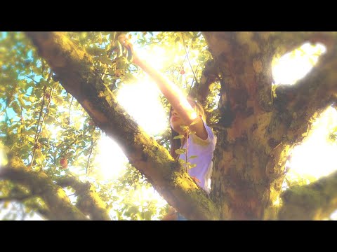 ... und nach uns die Sterne – Offizieller Trailer zu Teil 2 der Erinnerungs-Trilogie