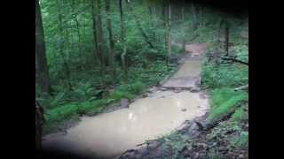preview picture of video 'Lee Ranger District OHV(Peter Mill Run/Taskers gap)'