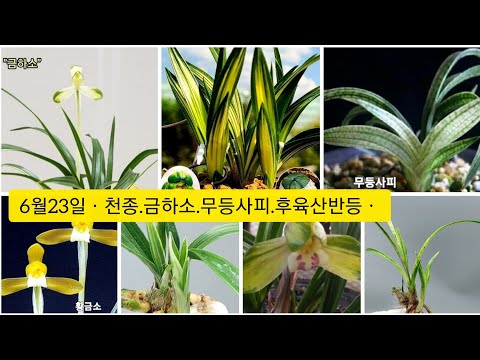 유튜브 썸네일