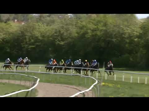 2020.05.11 Mowerinaløb (Dansk 1000 Guineas) - Tassmania