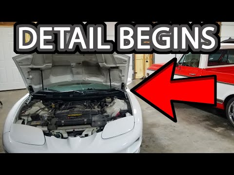 WS6 Trans Am Clean Up Starts Under the Hood (Ultimate Clean Up Part 1)