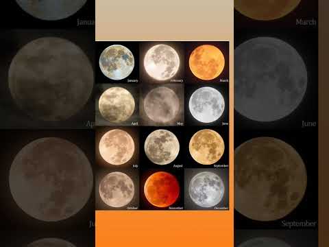 Months look by MOON #moon #english #englishconnection #grammar #space #englishgrammar