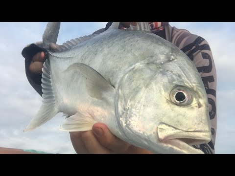 GT session SURFACE POPPERS!!!!