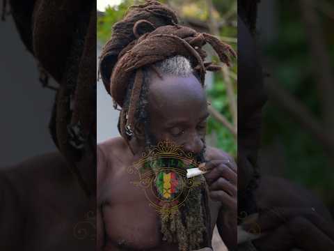 Would you roll one up with him? #jamaica #rasta #rastafari #shorts #ital #fire #shorts