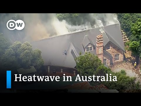 新南威爾士州創紀錄的熱浪助長了野火 - DW新聞網 (Record heatwave in New South Wales fuels wildfires | DW News)