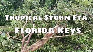 Tropical Storm ETA Florida Keys Garden Aftermath
