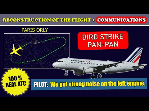 Bird strike. “We got strong noise on the engine” | Air France Airbus A319 | Paris Orly Airport, ATC